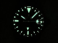 STEINHART.JPG