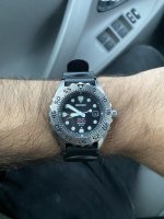 IMG_9384.JPEG