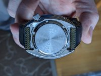 D91052D0-2DAF-4E38-A116-BA376D58A652.jpeg