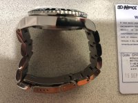 squale 5.jpg