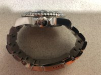 squale 4.jpg