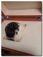 Speedy4.jpg