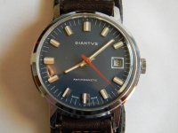 diantus 002.JPG