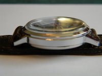 diantus 005.JPG