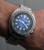 DSC09167.jpg