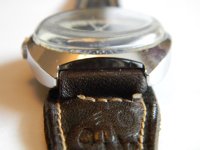 DSCN9239.JPG