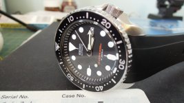 DSCN0974.JPG