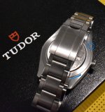 Tudor4.JPG