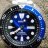Sawmills1234